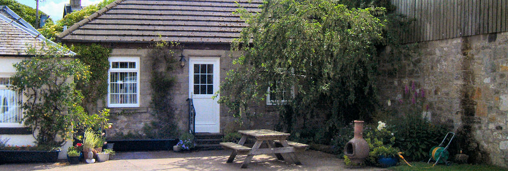 Image3