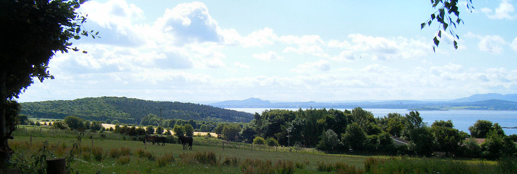 Image5 (1)