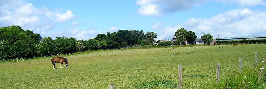 Image9